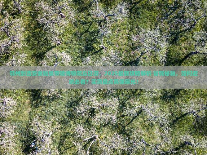 鄂州到西安秦始皇帝陵博物院五日游