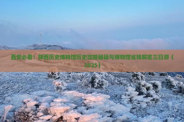 六安到西安陕西历史博物馆三日游