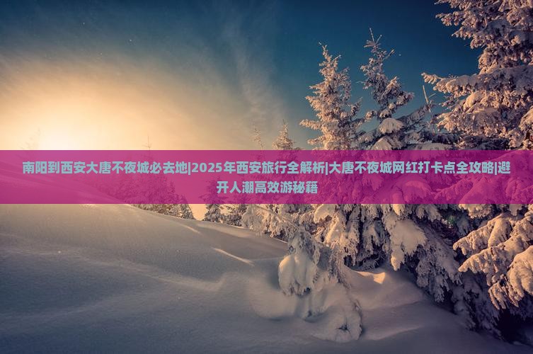 南阳到西安大唐不夜城必去地