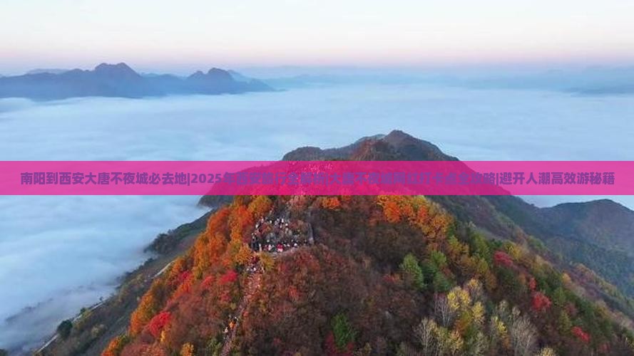 南阳到西安大唐不夜城必去地