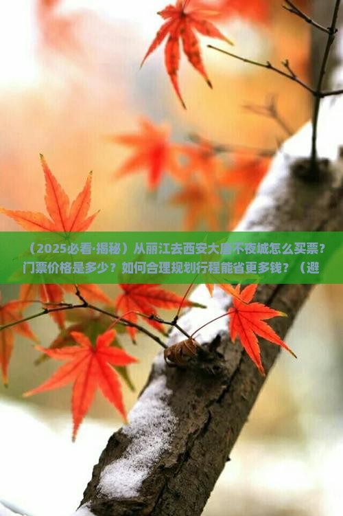 丽江到西安大唐不夜城门票