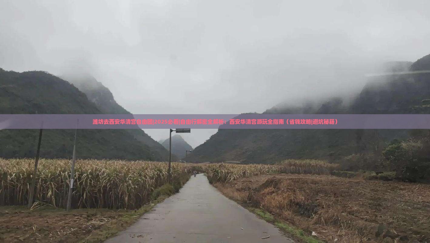 潍坊去西安华清宫自由团