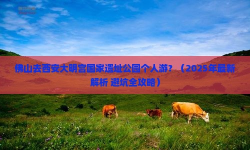 佛山去西安大明宫国家遗址公园个人游