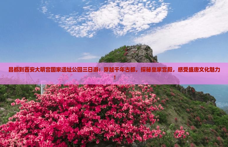 昌都到西安大明宫国家遗址公园三日游