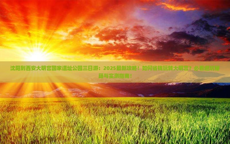 沈阳到西安大明宫国家遗址公园三日游