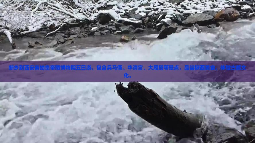 新乡到西安秦始皇帝陵博物院五日游