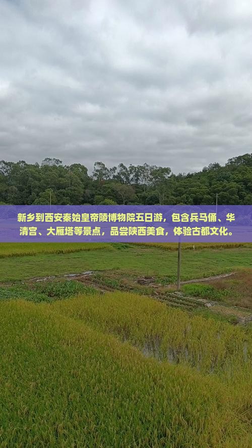 新乡到西安秦始皇帝陵博物院五日游