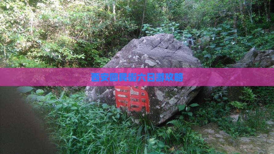 宿州去西安回民街六日游