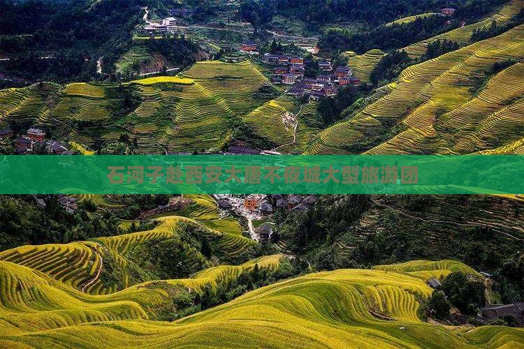 石河子去西安大唐不夜城大型旅游团