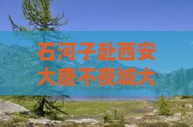 石河子去西安大唐不夜城大型旅游团