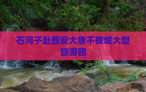 石河子去西安大唐不夜城大型旅游团