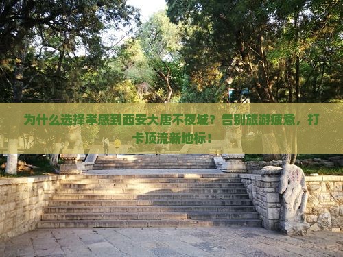 孝感到西安大唐不夜城旅行社