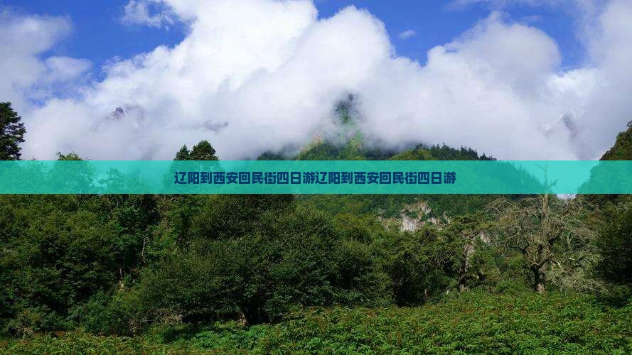 辽阳到西安回民街四日游