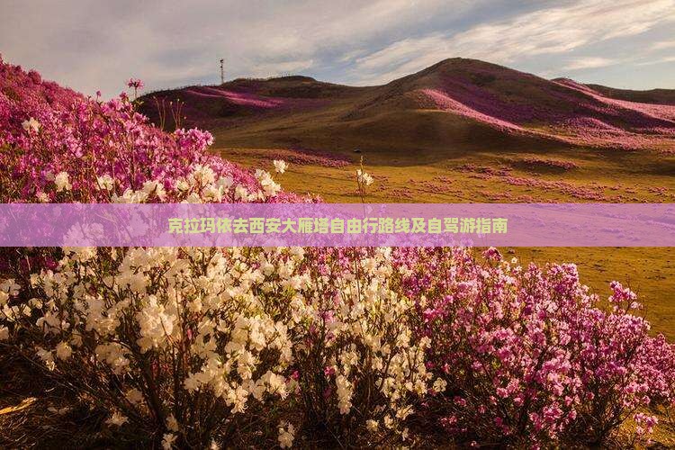 克拉玛依去西安大雁塔自由行