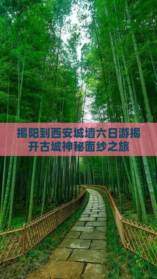 揭阳到西安城墙六日游
