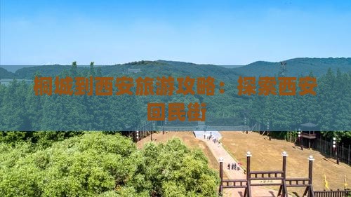 桐城到西安回民街旅游