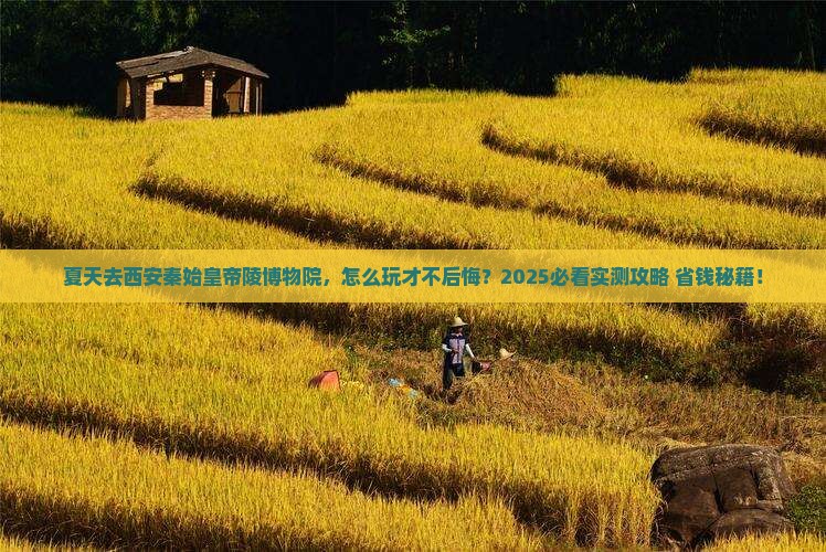 夏天到西安秦始皇帝陵博物院一日游