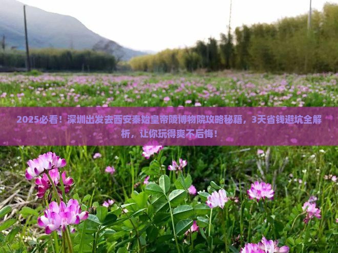 深圳去西安秦始皇帝陵博物院攻略