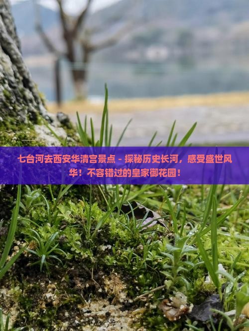 七台河去西安华清宫景点
