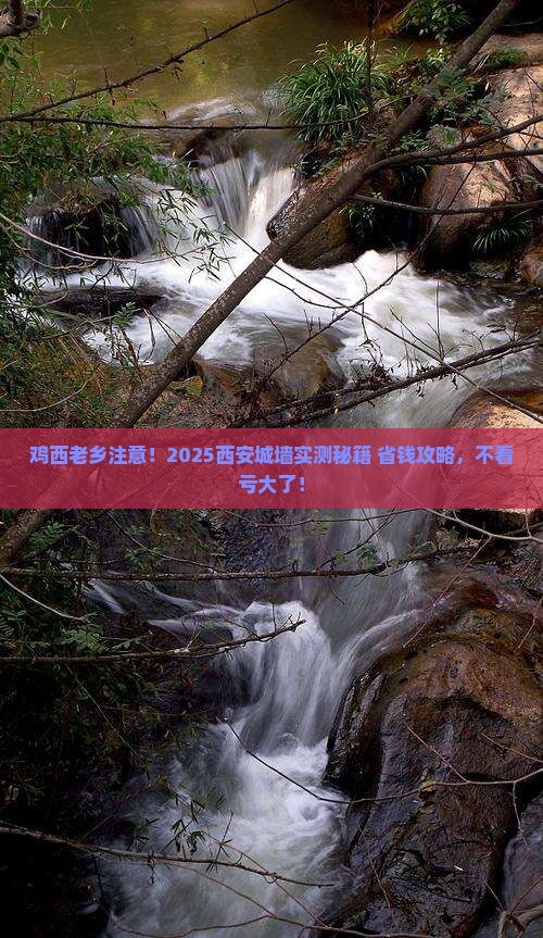 鸡西去西安城墙旅游
