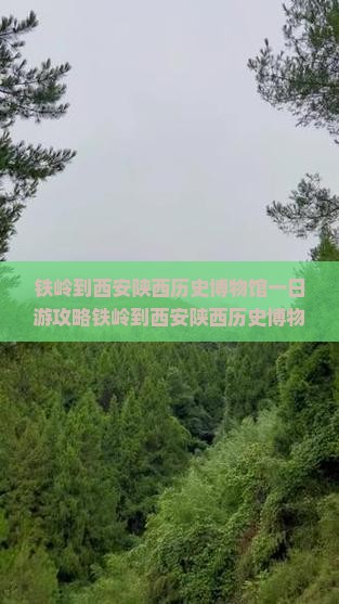 铁岭到西安陕西历史博物馆一日游