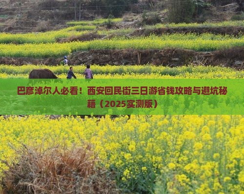 巴彦淖尔到西安回民街三日游