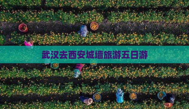 武汉去西安城墙五日游