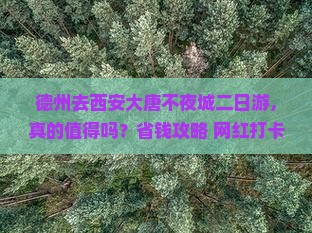 德州去西安大唐不夜城二日游