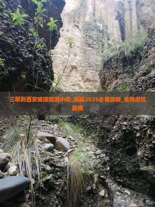 三明到西安城墙旅游小吃