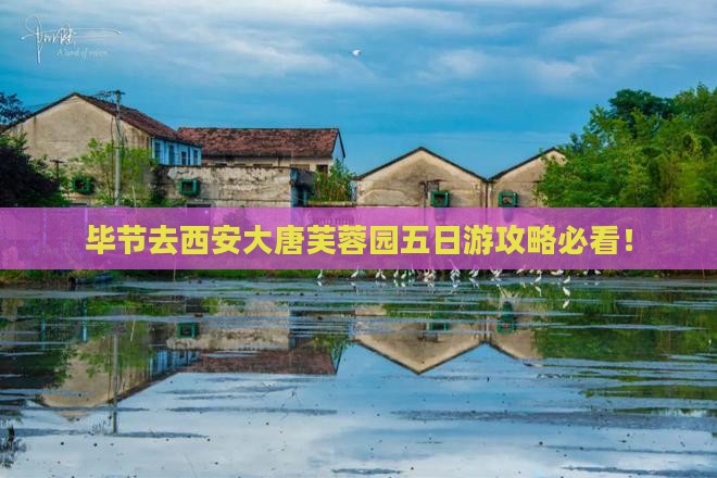 毕节去西安大唐芙蓉园五日游