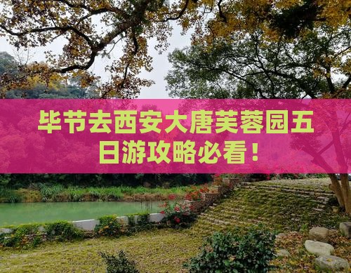 毕节去西安大唐芙蓉园五日游