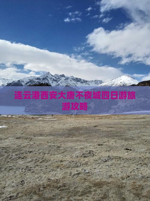 连云港到西安大唐不夜城四日游