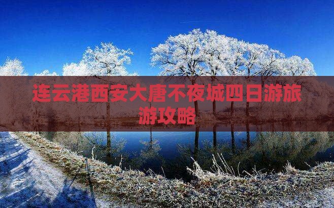 连云港到西安大唐不夜城四日游