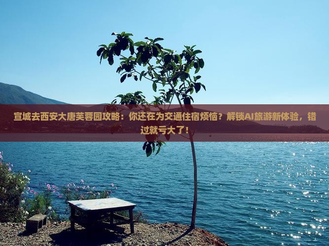 宣城去西安大唐芙蓉园攻略