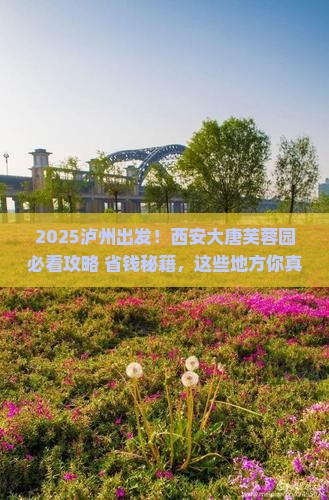 泸州到西安大唐芙蓉园必去地