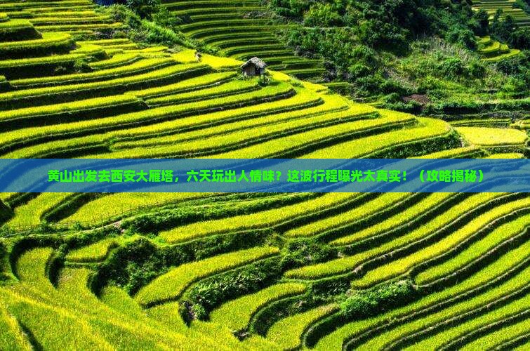 黄山去西安大雁塔六日游