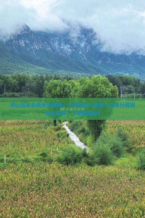 黄山去西安大雁塔六日游