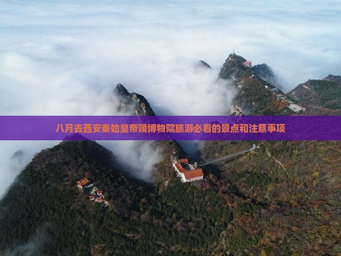 八月去西安秦始皇帝陵博物院旅游