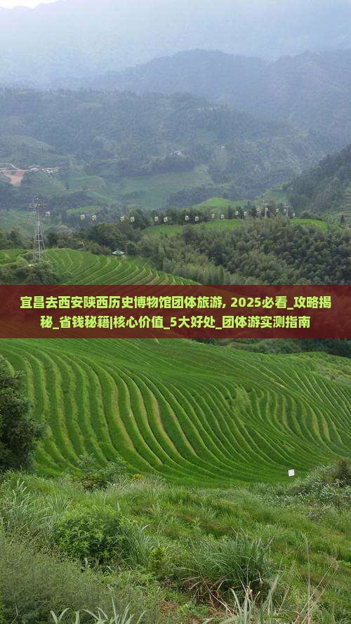 宜昌去西安陕西历史博物馆团体旅游