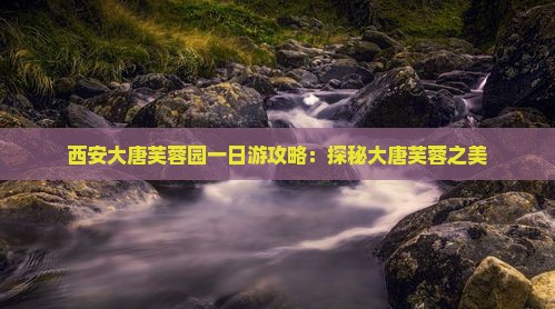 七台河去西安大唐芙蓉园一日游