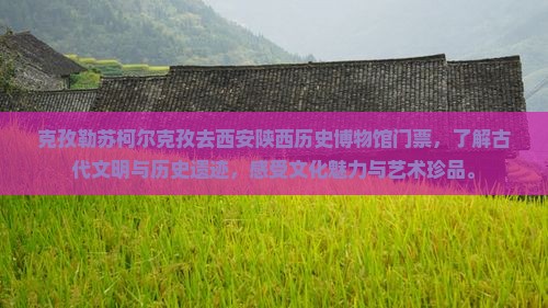 克孜勒苏柯尔克孜去西安陕西历史博物馆门票