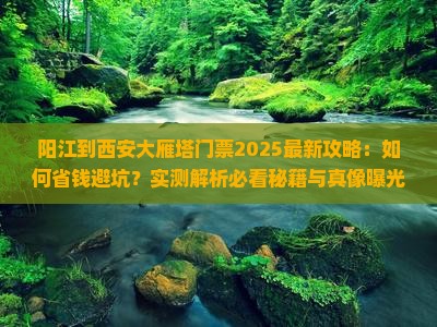 阳江到西安大雁塔门票