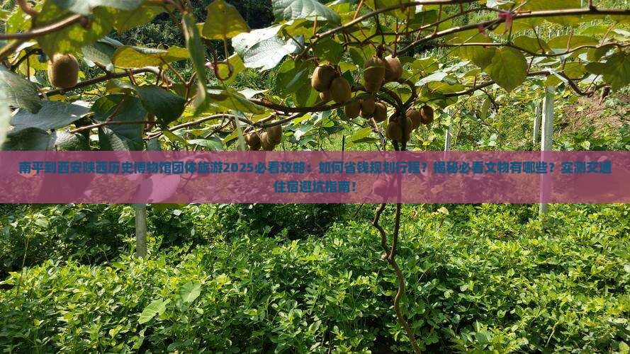 南平到西安陕西历史博物馆团体旅游 南平到西安陕西历史博物馆团体旅游