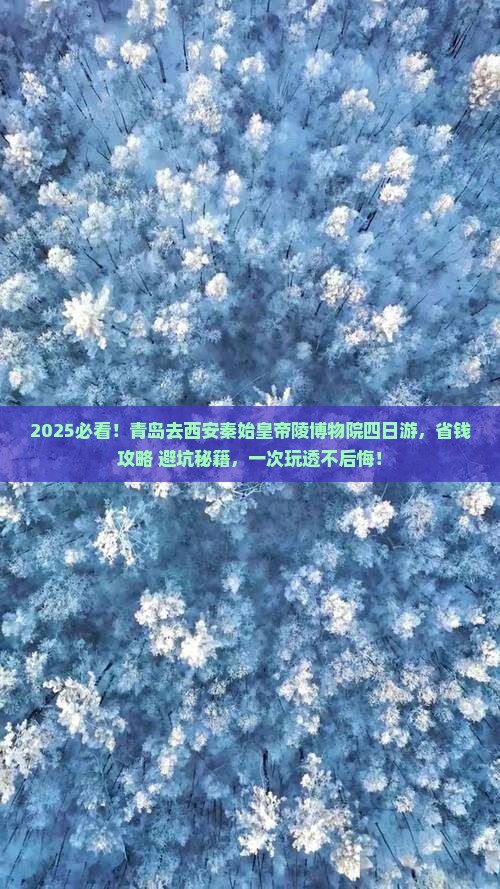 青岛去西安秦始皇帝陵博物院四日游