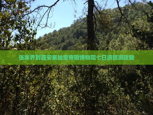 张家界到西安秦始皇帝陵博物院七日游
