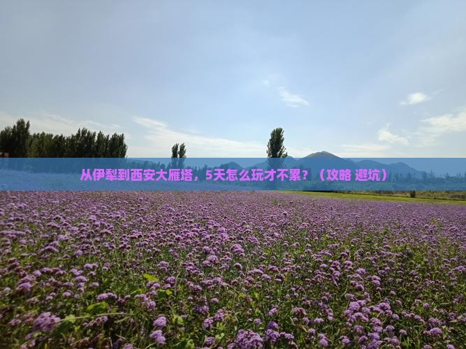 伊犁去西安大雁塔自由行