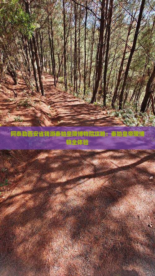 阿泰勒到西安秦始皇帝陵博物院攻略