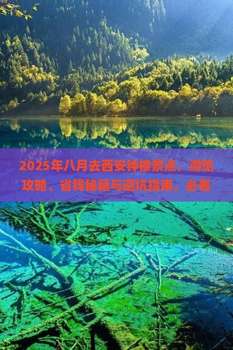 八月去西安钟楼景点
