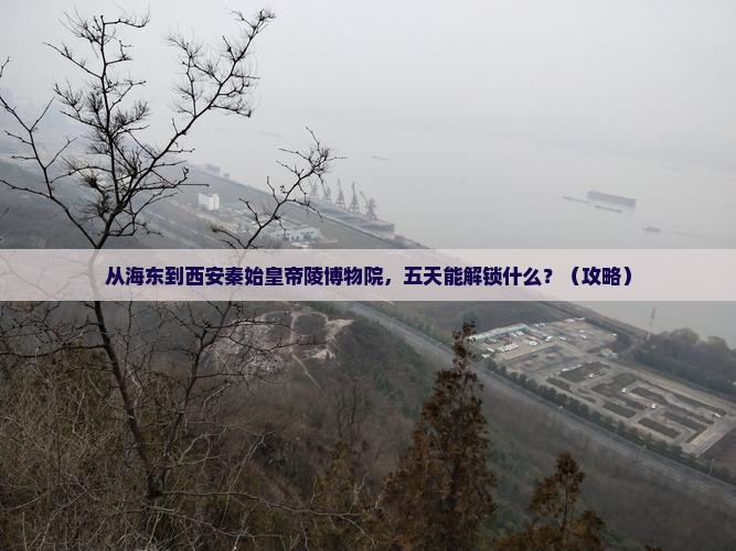 海东到西安秦始皇帝陵博物院五日游