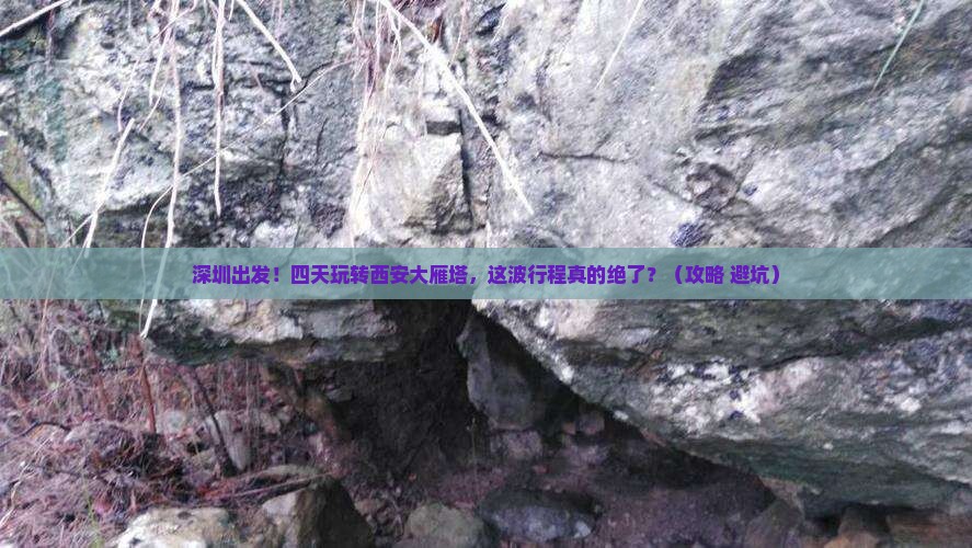 深圳去西安大雁塔四日游